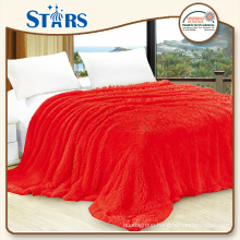 GS-FFPVB-2 100% polyester fashion designs winter single bed blanket